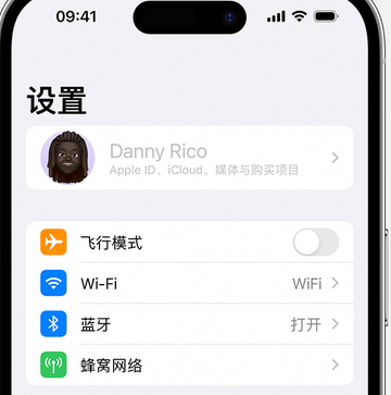 烟台appleID维修服务iPhone设置中Apple ID显示为灰色无法使用 