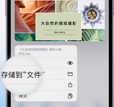 烟台apple维修中心分享iPhone文件应用中存储和找到下载文件