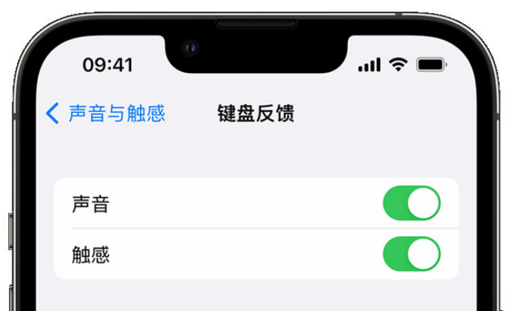 烟台苹果手机维修分享iPhone 14触感键盘使用方法 