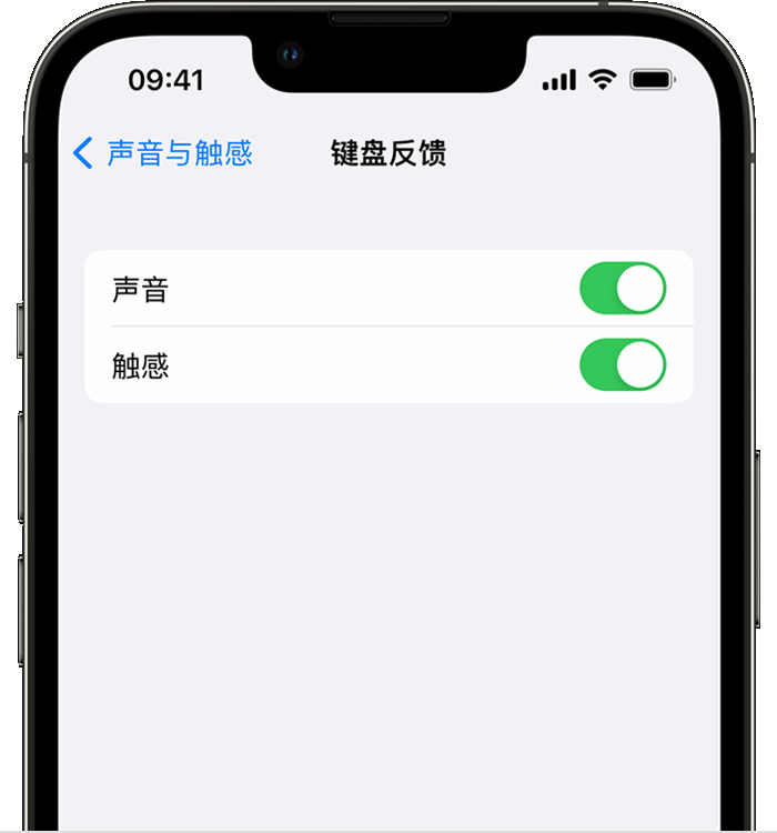 烟台苹果14维修店分享如何在 iPhone 14 机型中使用触感键盘 