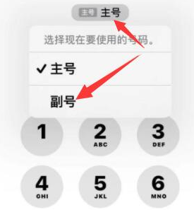 烟台苹果14维修店分享iPhone 14 Pro Max使用副卡打电话的方法 