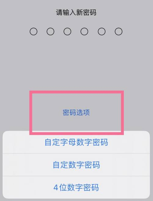 烟台苹果14维修分享iPhone 14plus设置密码的方法 