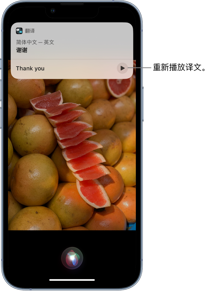 烟台苹果14维修分享 iPhone 14 机型中使用 Siri：了解 Siri 能帮你做什么 