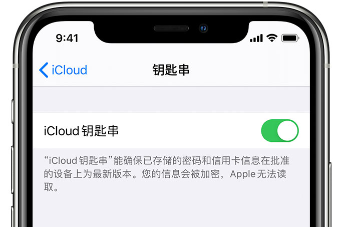 烟台苹果手机维修分享在 iPhone 上开启 iCloud 钥匙串之后会储存哪些信息 