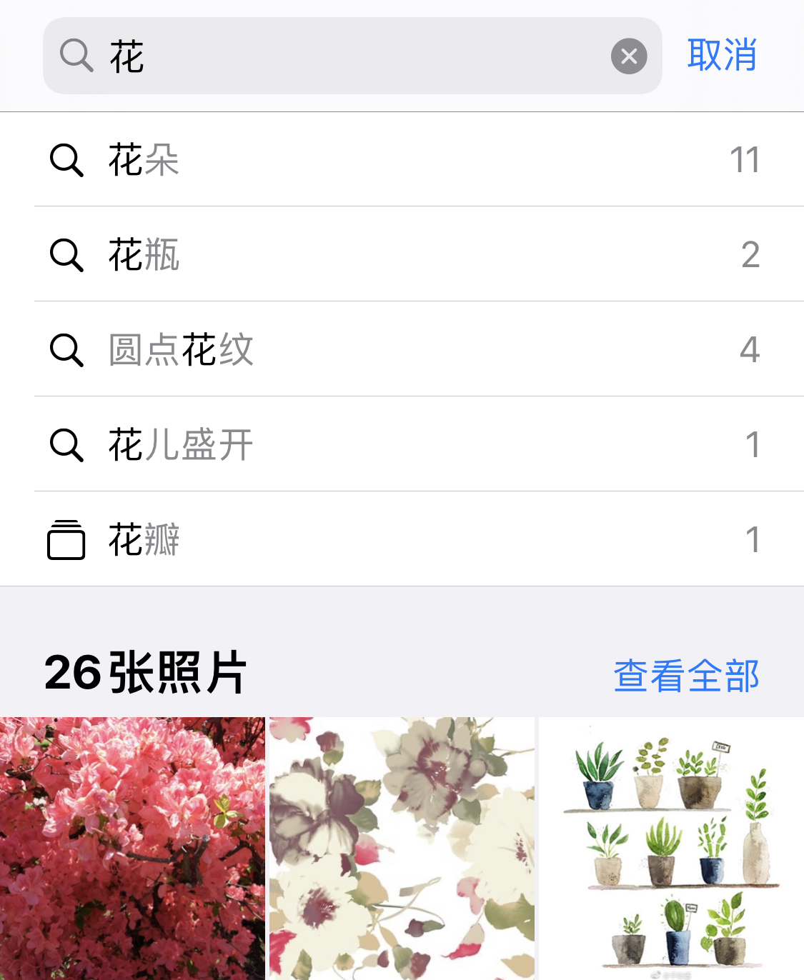 烟台苹果手机维修分享iPhone 小技巧 