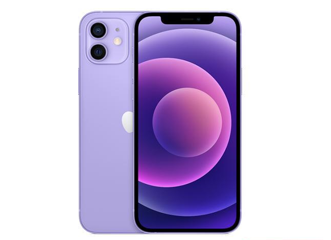 烟台苹果手机维修分享现阶段要不要入手紫色版iPhone12 