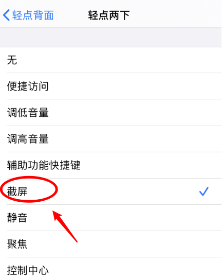 烟台苹果手机维修分享iPhone12如何启用双击截屏 