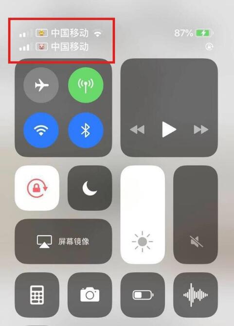 烟台苹果手机维修分享为 iPhone 12 双卡设置标签 