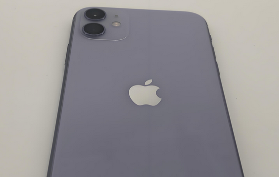 烟台苹果11系统维修分享iPhone11手机系统崩溃无法开机如何解决 